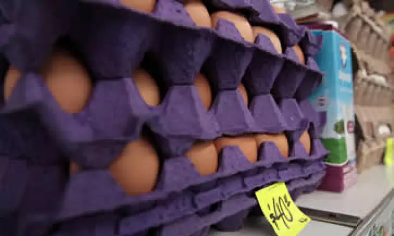 Avicultores dicen que el alza del dólar sí impacta en los costos de los granos para alimentar a las gallinas. (Foto: Notimex )