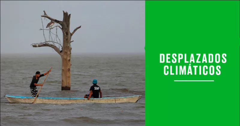 Desplazados climáticos