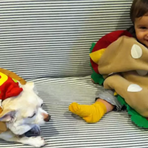 perros disfraz Halloween