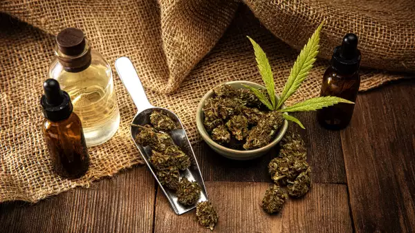 Descubren dos compuestos de la marihuana para frenar infección por COVID-19