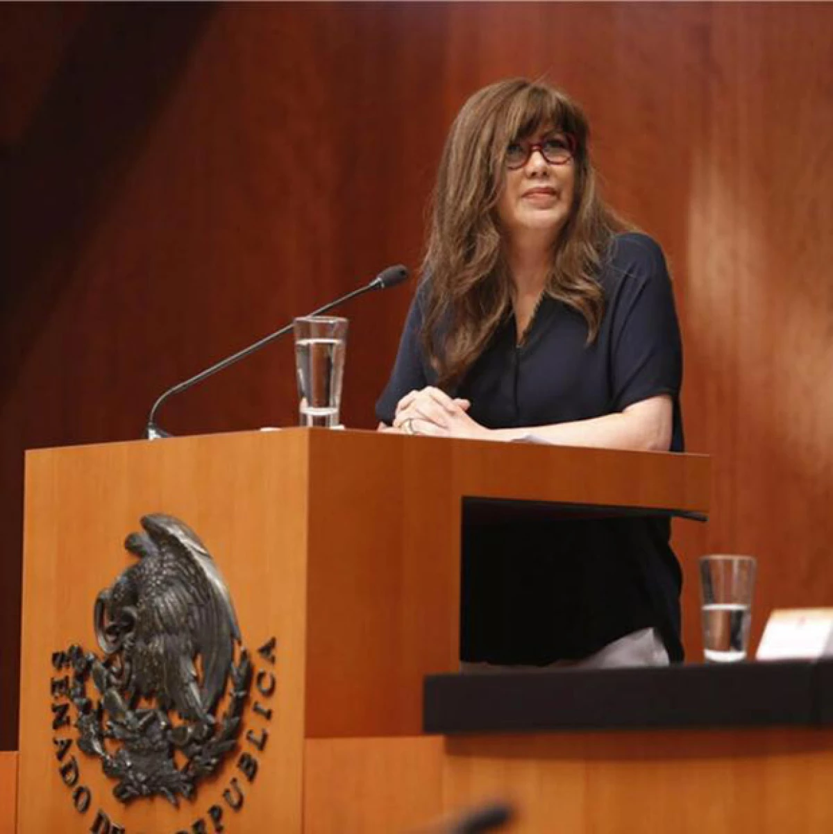 La senadora de Nueva Alianza falleció a causa del cáncer cerebral y de medula que la afectó los últimos meses.