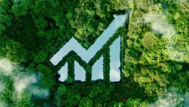 Los caminos que llevan (y los que no) a consolidar una marca sostenible