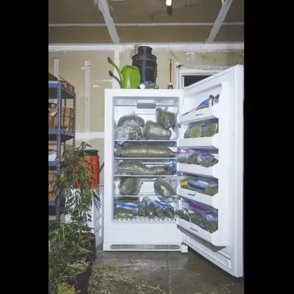 Las 'monjas' guardan la marihuana en refrigeradores en su casa.