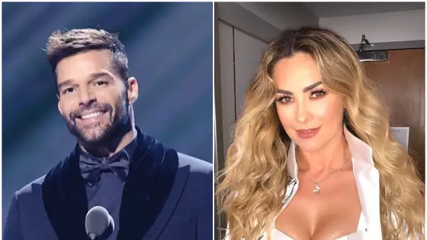 Ricky Martin y Aracely Arámbula