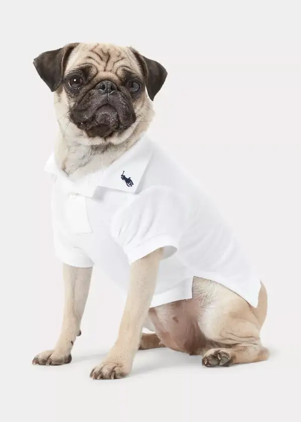 Pug Ropa Perrhijos fashion: las marcas de moda que también hacen ropa para perros