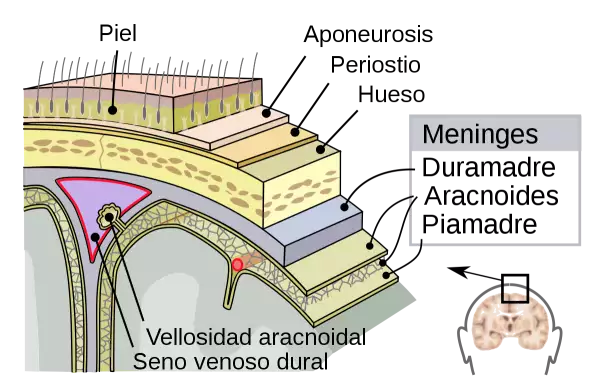 image (20).png