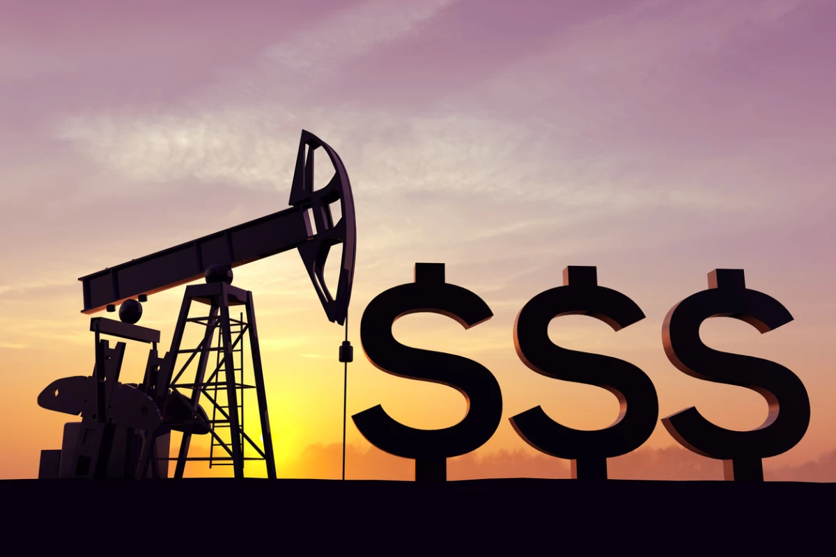 Refinería - petróleo - costo - dinero