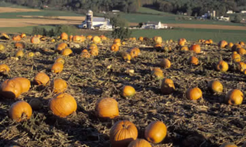El modelo de agricultura sustentable de la FAO, muestra a los agricultores cómo ahorrar sus recursos, así como los depredadores naturales de plagas. (Foto: Photos to Go)