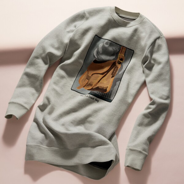 Coach & Rodarte 4