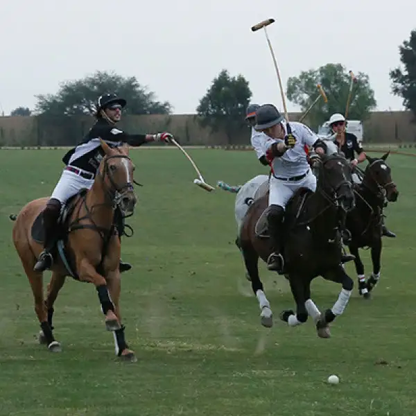 Partido de Polo