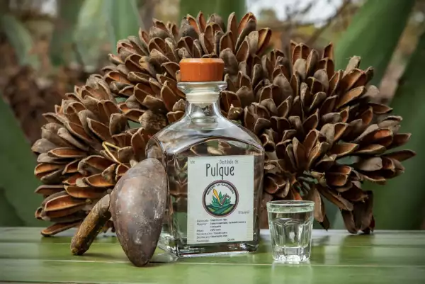Hidalgo-Sec3.png