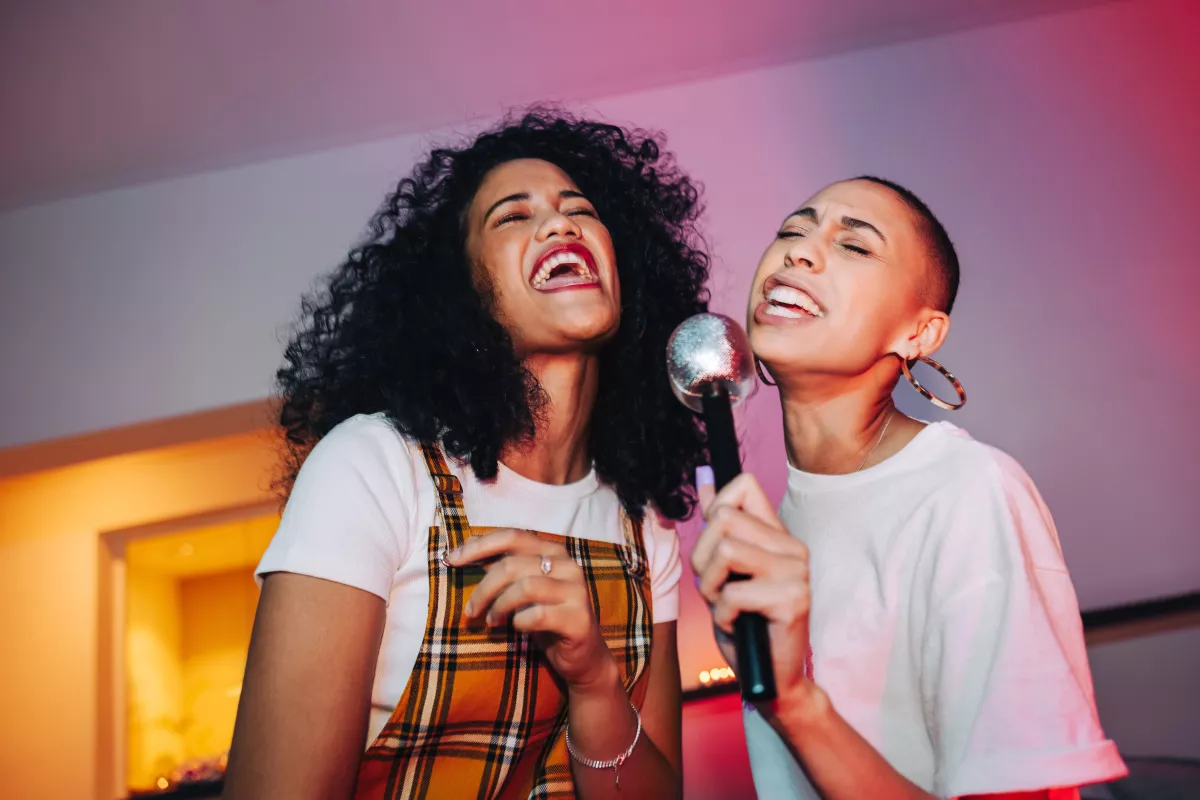 Karaoke en casa 