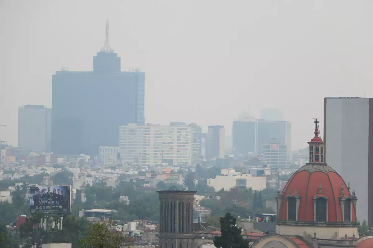 SEP contaminación