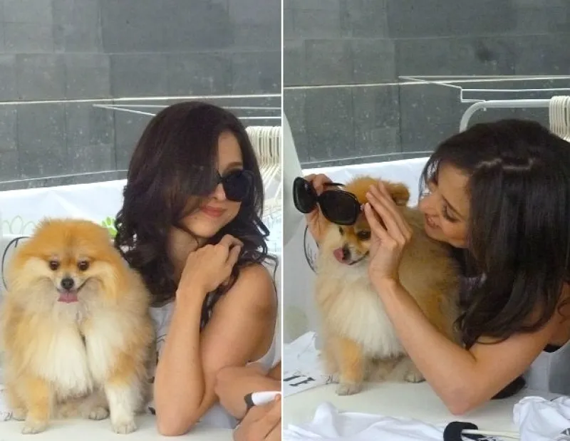 Acompañamos a la cantante a un playground diseñado especialmente para perros, al cual acudió con su adorable e inseparable pomeranian.