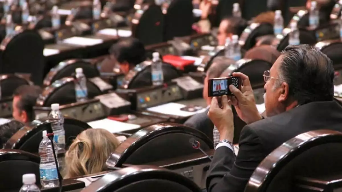 Cámara de diputados