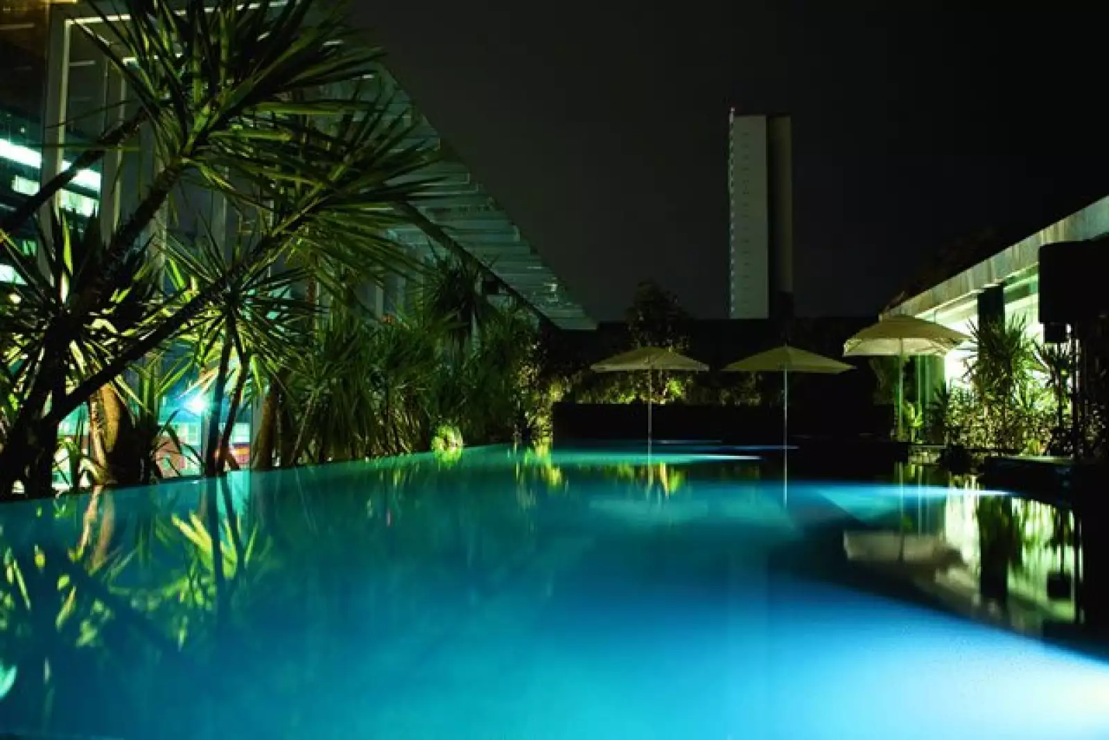 La alberca es lo primero que se ve desde el lobby.