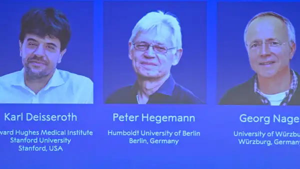 Tres fotos con fondo azul de tres hombres, dos con lentes. Karl, Peter y Georg, ganadores del Premio Nobel de Medicina 2026.jpg