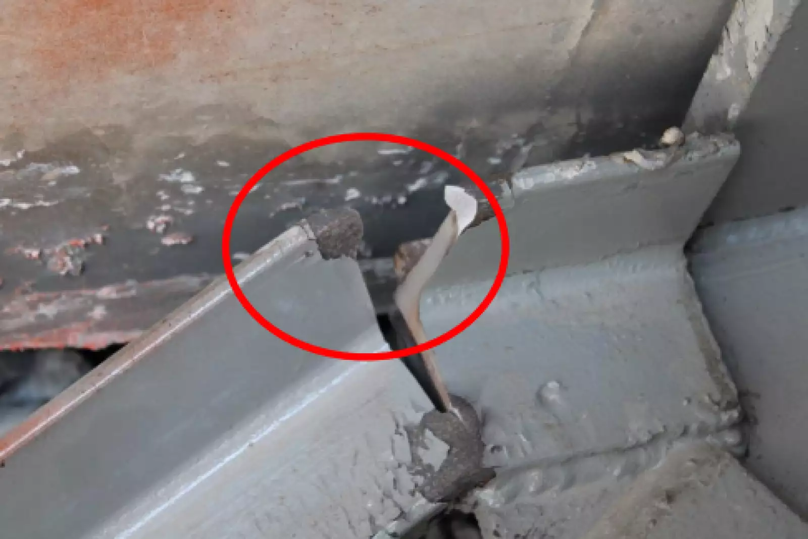 Deficiencias al descubierto