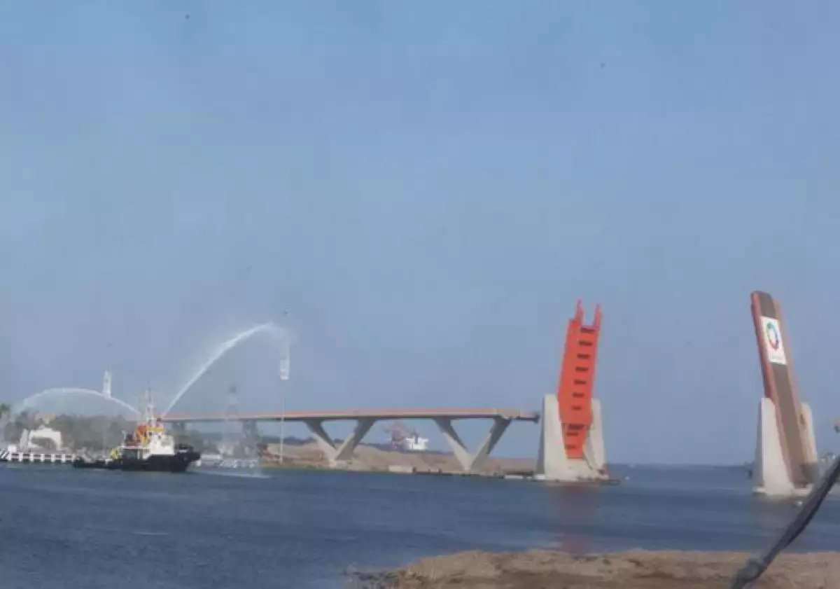 Puente albatros