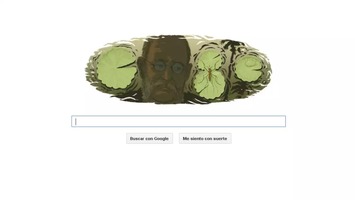 insterner, ciencia, doodle, google, carlos juan finlay, medicina