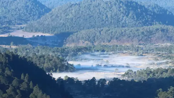 tlalpan-medio-ambiente