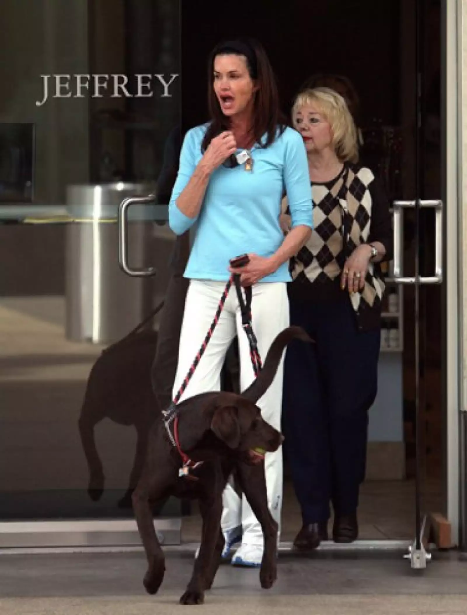 La ex modelo Janice Dickinson pasea a su perro en West Hollywood, California.