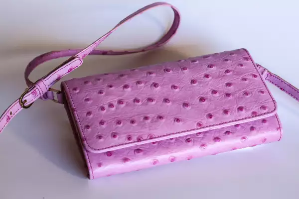 bolsa dos birmana