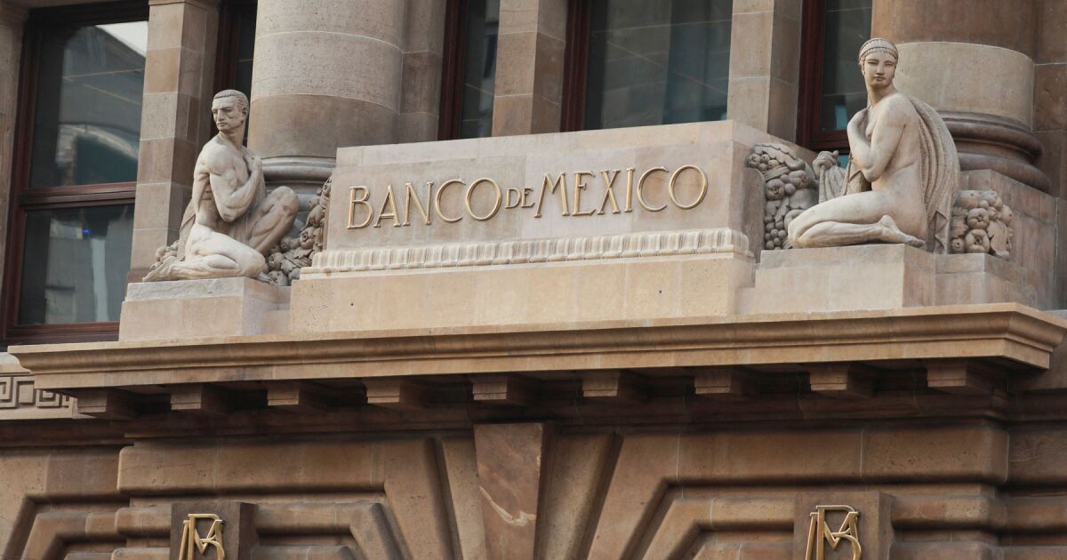 Volatilite kırılganlıkla eşanlamlı değil: Banxico