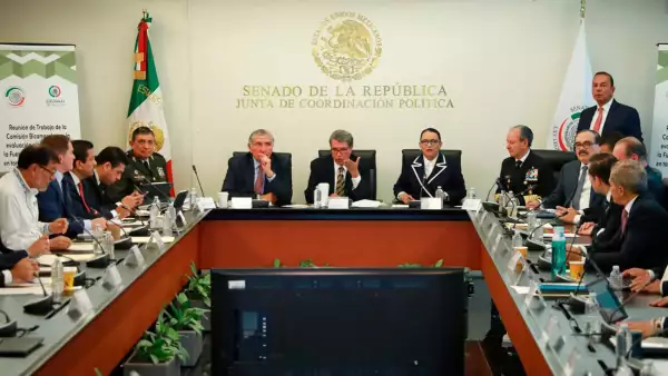 comisión bicameral.jpeg