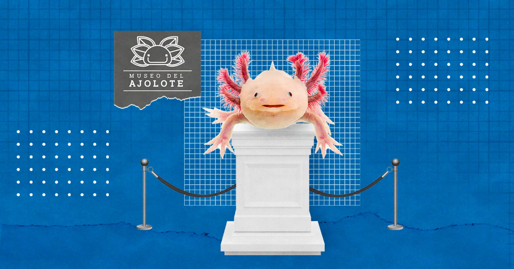 arte_expansion2.0_ajolote.jpg