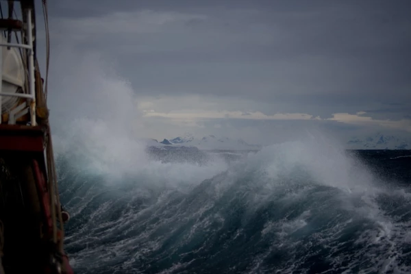torsten-dederichs-643505-unsplash (1)