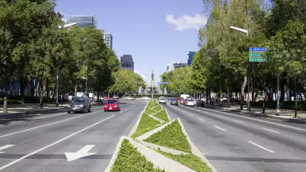 viviendas-en-vegetacion