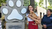 Rosi Bayardo, quien busca la gubernatura de Morena en Colima, sostiene un perrito durante un evento público. 