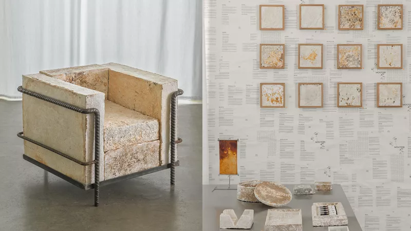 monterr-diseño-muebles-hongos