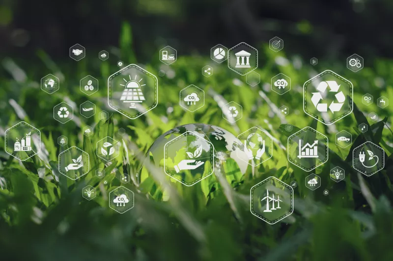 sustentable y sostenible