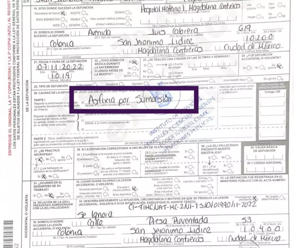 certificado-defuncion-nino-colegio-williams