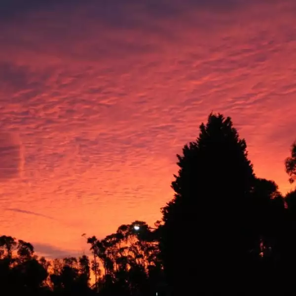 atardecer sidney tonalidades