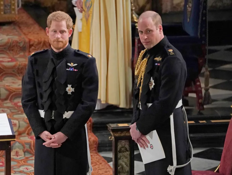 Príncipe Harry y el príncipe William