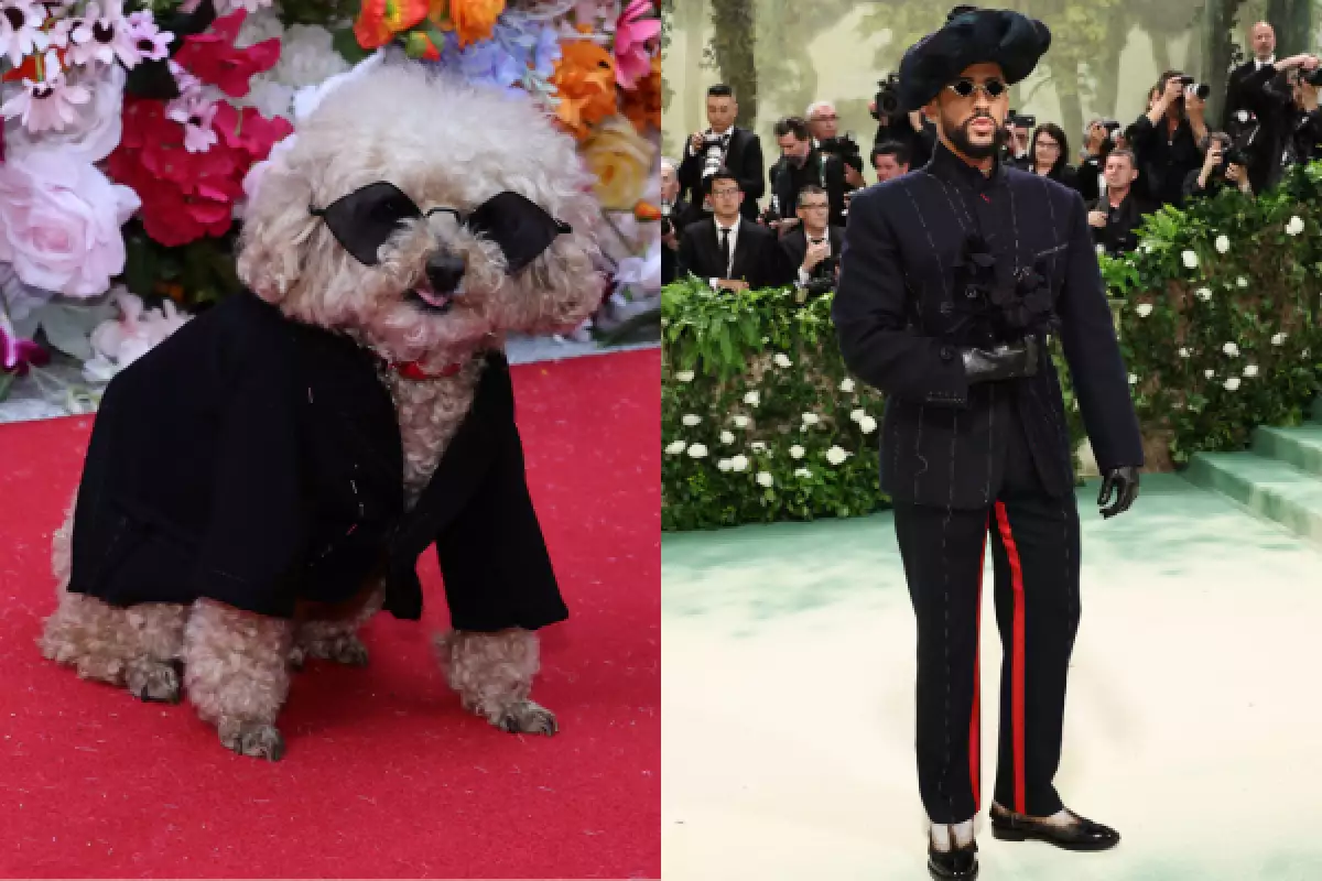 La Pet Gala: todos los perritos que recrearon looks de la Met Gala 2024