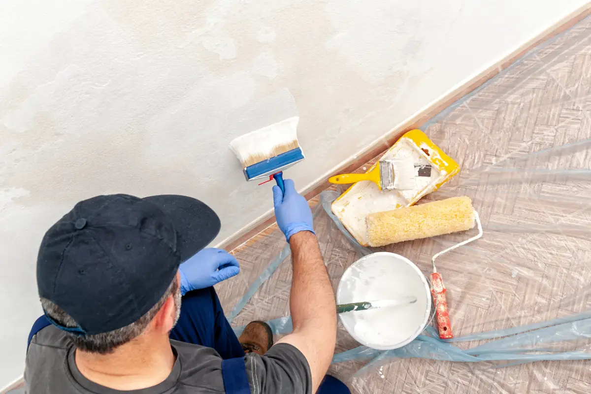 Pintar casas