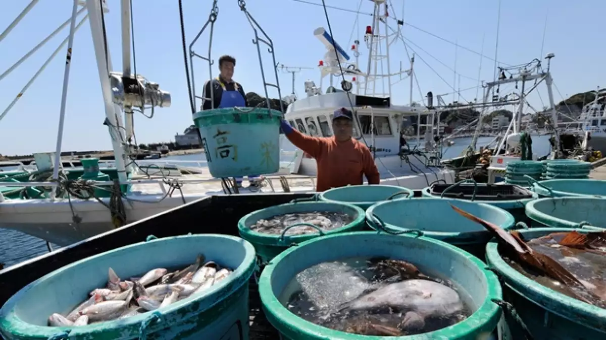 pescadores japoneses en un barco