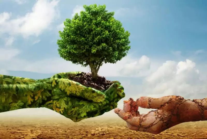 ESG, la práctica que no pueden posterga las empresas