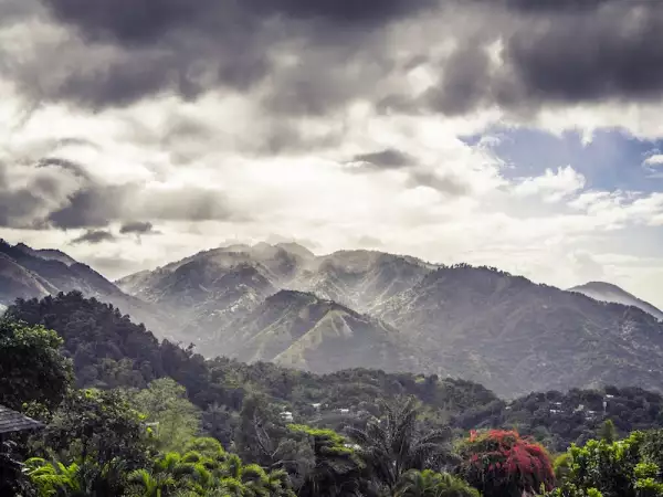 Life and Style Ron 3.jpg