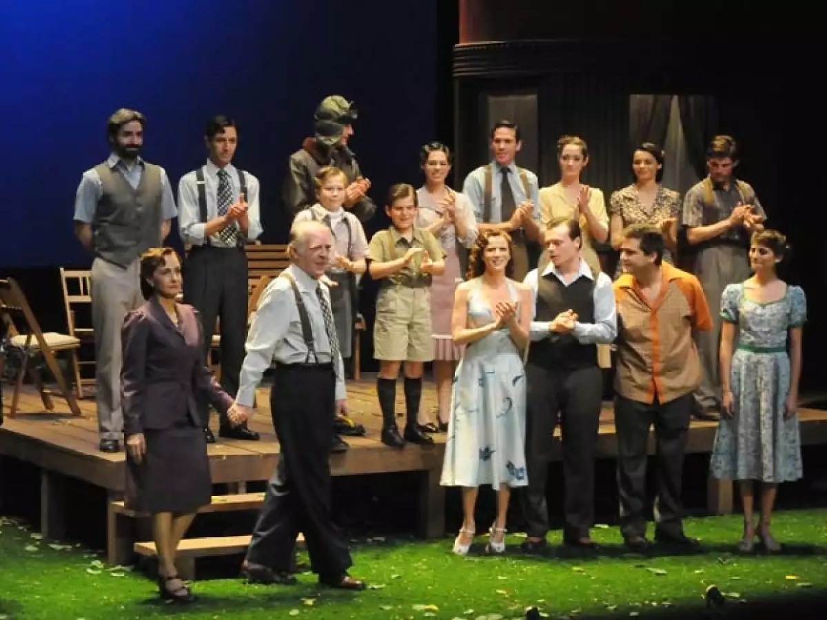 Los actores mexicanos Diana Bracho, Fernando Luján, Silvia Navarro, Osvaldo Benavides, entre otros regresan al teatro con esta puesta escena, una producción espectacular del guionista Arthur Miller.