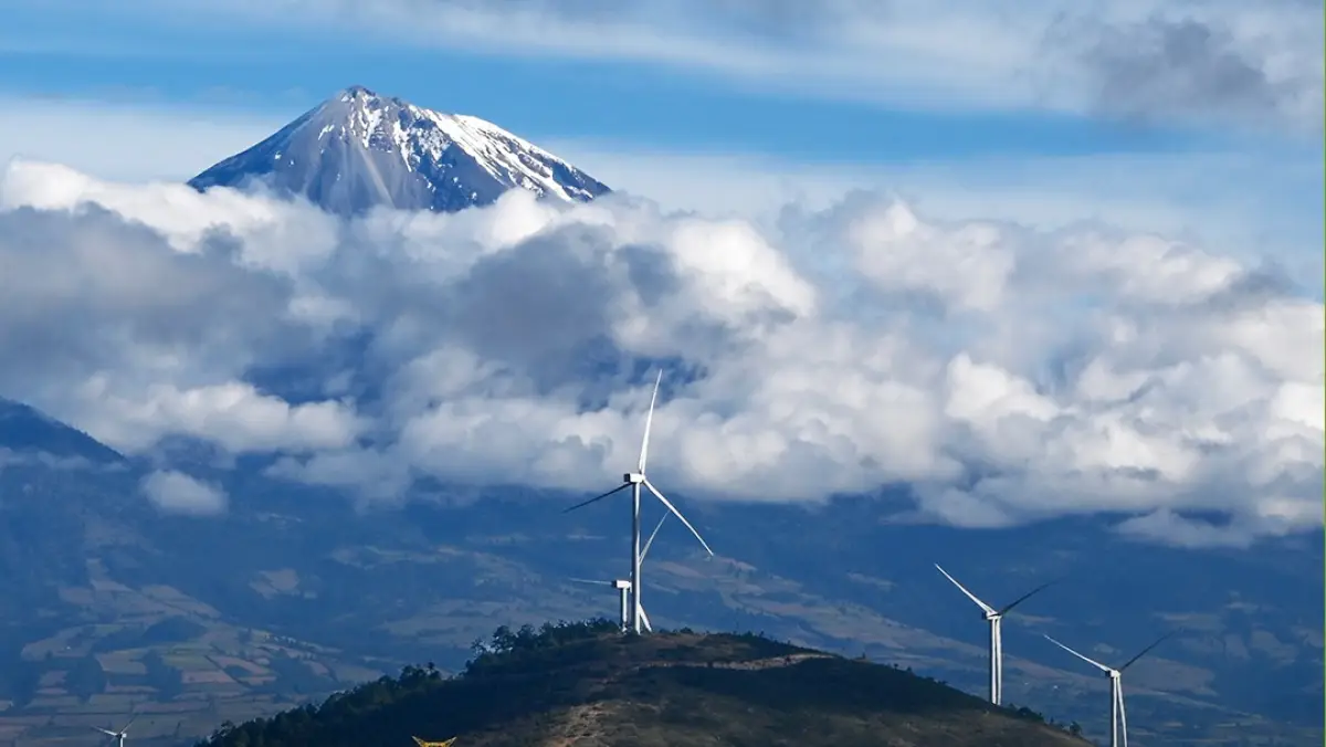 berdrola México-