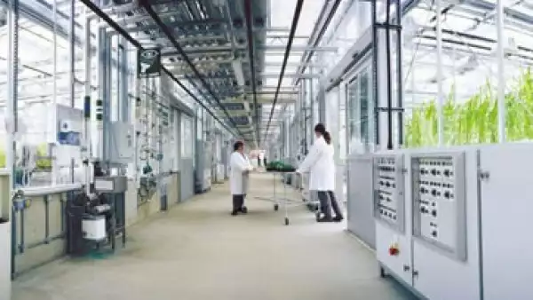 Syngenta ha trabajado con Goldman Sachs para evaluar la oferta de Monsanto. (Foto: www.syngenta.com.mx )