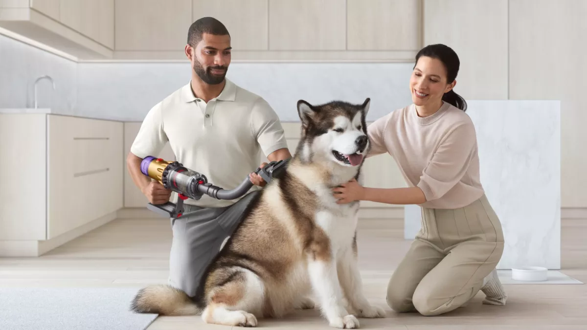 Dyson lanza gadget para aspirar pelo de perros y gatos