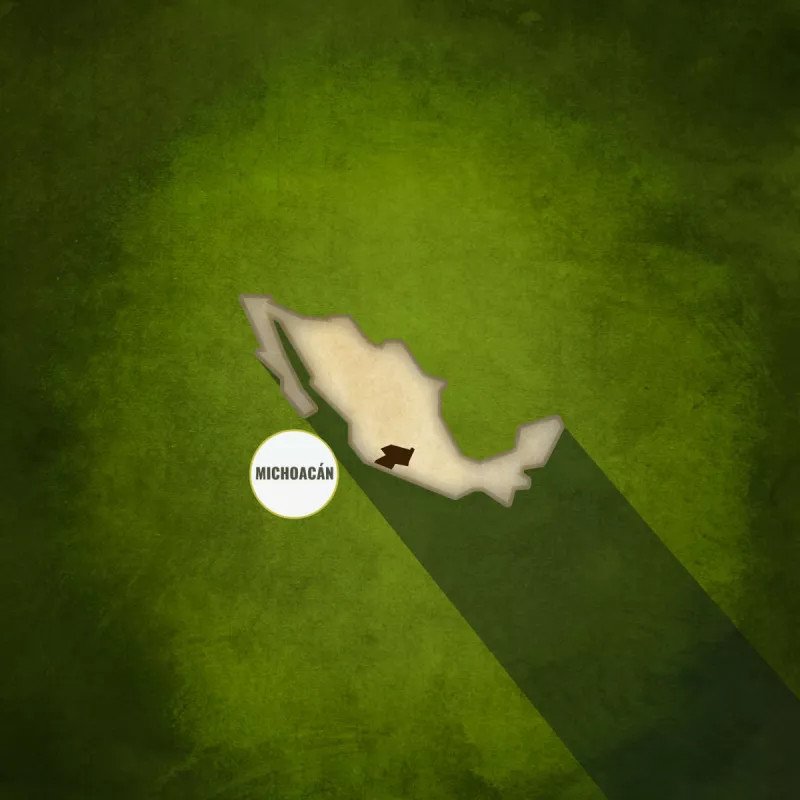 Sin participación estatal