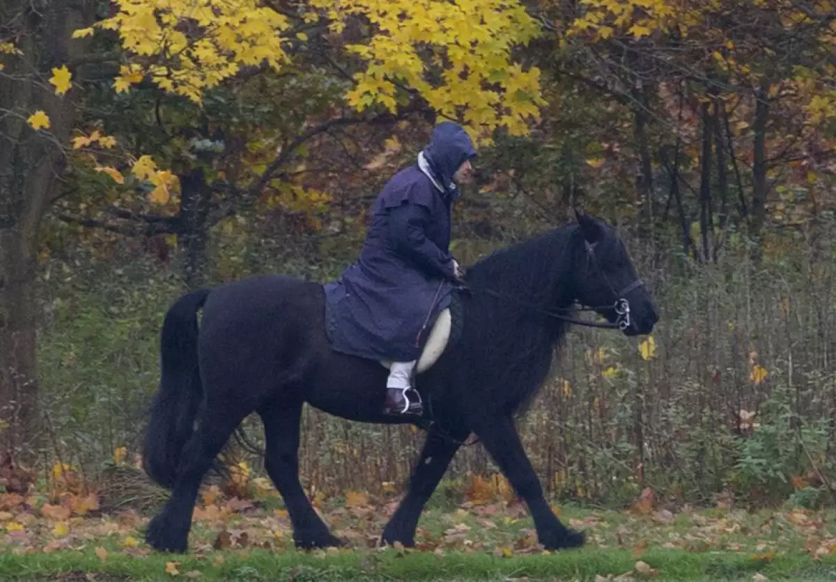 Queen Elizabeth II rides in the grounds of Windsor Castle, UK - 18 Nov 2017