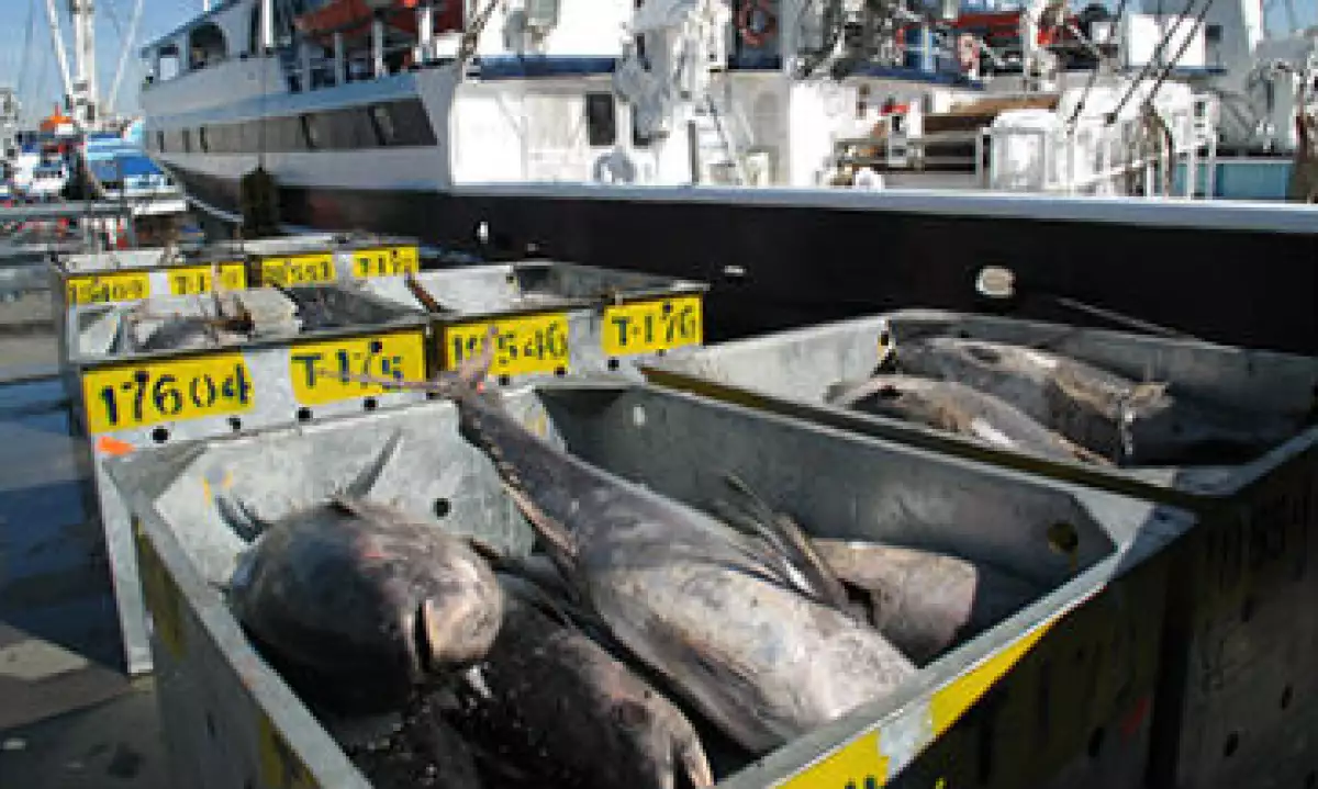 at�n_pesca_barco